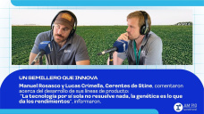 Un semillero que innova