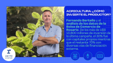Agricultura: ¿cómo invierte el productor?