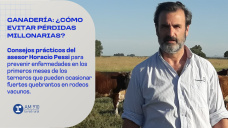 Ganadería: ¿cómo evitar pérdidas millonarias?