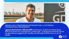 Semillas y propiedad intelectual: la eterna asignatura pendiente