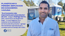Planificar o perder: servicios en ganadería vacuna