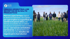 Cebada argentina: los secretos de su salto productivo