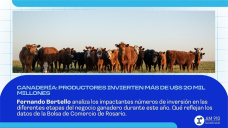 Ganadería: productores invierten más de U$S 20 mil millones