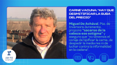Carne vacuna: 