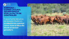 Formosa - Carne Vacuna: Advertencia por la falta de controles