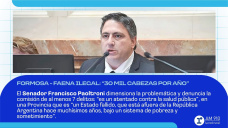 Formosa - faena ilegal: 
