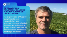 Se reaviva la polémica: 