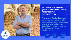 Acuerdo con EE.UU.: ¿llegan cambios en propiedad intelectual?