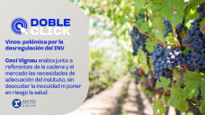 Vinos: polémica por la desregulación del INV