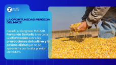 La oportunidad perdida del maíz