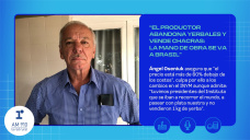 “El productor abandona yerbales y vende chacras: la mano de obra se va a Brasil”