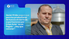 Javier Prida asegura que para los productores de huevos el cierre de exportaciones por Gripe Aviar “es un flagelo”. ¿Hay que vacunar?