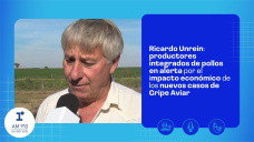 Ricardo Unrein: productores integrados de pollos en alerta por el impacto económico de los nuevos casos de Gripe Aviar