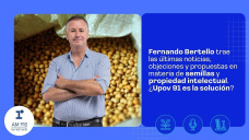 Fernando Bertello trae las últimas noticias, objeciones y propuestas en materia de semillas y propiedad intelectual. ¿Upov 91 es la solución?