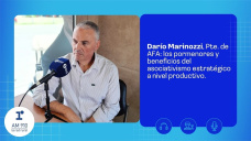 Darío Marinozzi, Pte. de AFA: los pormenores y beneficios del asociativismo estratégico a nivel productivo.