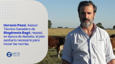 Horacio Pessi, Asesor Técnico Ganadero de Biogénesis Bagó, repasó, en época de destete, el plan sanitario necesario para iniciar las recrías.
