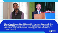 Diego Napolitano, Pte. CEDASABA y Mariano Otamendi, Dir. AAPROTRIGO, analizan el mercado de insumos y granos. Cae siembra de trigo por la suba de costos y prevén que habrá un nuevo dólar soja.