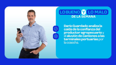 Darío Guardado analiza la caída de la confianza del productor agropecuario y el aluvión de camiones a las terminales portuarias por la cosecha.
