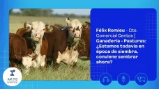 Félix Romieu - Gte. Comercial Gentos | Ganadería - Pasturas: ¿Estamos todavía en época de siembra, conviene sembrar ahora?