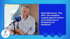 Darío Marinozzi - Pte. AFA | 