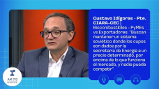 Gustavo Idígoras - Pte. CIARA-CEC | Biocombustibles - PyMEs vs Exportadores: 