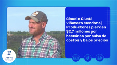 Giusti Claudio - Viñatero Mendoza | Productores pierden $2,7 millones por hectárea por suba de costos y bajos precios