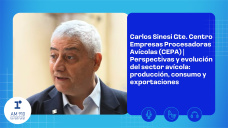 Carlos Sinesi – Gte. CEPA | Perspectivas y evolución del sector avícola: producción, consumo y exportaciones