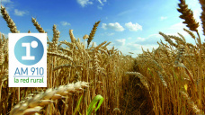 Micro Agropecuario: 
