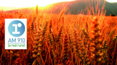 Micro Agropecuario: 