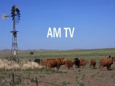 AM TV: Con el peso mínimo de faena actual, el criador está recibiendo un 24% menos del precio vigente 