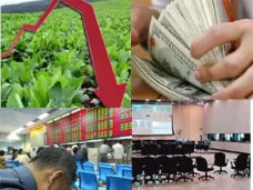 AM TV: Continúan las bajas en CBOT por incertidumbre financiera