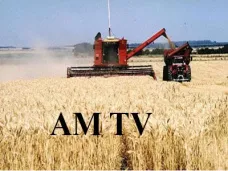 AMTV: Avanza la trilla del trigo en Santa Fe con buenos rindes. Adelantan un verano con lluvias superiores a lo normal
