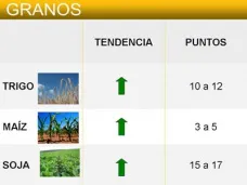 AM TV: 