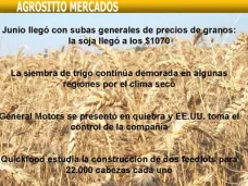 AM TV: Firmeza de cotizaciones en el mercado local. Se redujo la producción de úrea