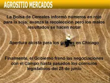 AM TV: Números en rojo para la soja con rindes de 15 a 18 qq/ha. La producción baja a 39.400.000 mill.tt