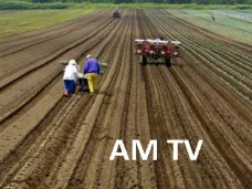 AM TV: 