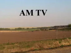 AM TV: Sin mercado de referencia externo, comienza a operar el mercado local de granos y se reactivan los ingresos en Liniers