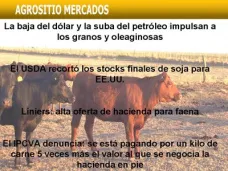 AM TV: Los stocks finales de soja para EE.UU. resultaron por debajo de lo estimado. Alta oferta de hacienda para faena