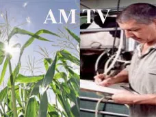 AM TV: El precio del maíz superó nuevamente al del Ministerio de Agricultura. Ahora, el turno de los tamberos