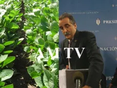 AM TV: Mejoran las ofertas de soja en el mercado local. Moreno aplica multas a quienes no cumplan con los precios máximos sugeridos