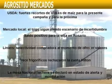 AM TV: Subas en los mercados financieros. Saldo postivo para la soja. El trigo, en el escenario de la incertidumbre