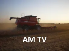 AM TV: Los granos y oleaginosas volvieron a abrir en baja en CBOT presionados por una mayor oferta a la esperada