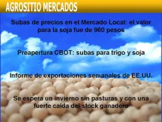 AM TV: Los granos, atentos a la influencia del clima en la cosecha ¿Tendremos un invierno sin pasturas?  