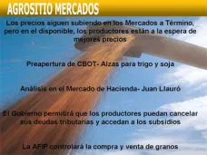 AM TV: La soja, a sólo $30 de dif. de los $1.000 por tt. Valores firmes para novillo y vaca nueva de exportación