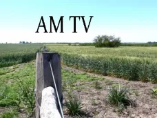 AM TV: CBOT abre con subas de U$S 3 para la soja. Análisis del mercado ganadero, con Juan Llauró