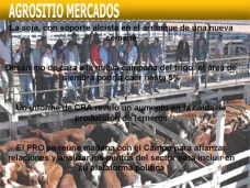 AM TV: ¿Cómo se perfilan los granos en el arranque de semana? Causas del desaliento en la prod. de terneros