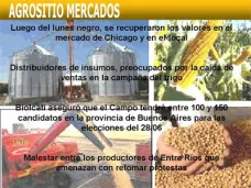 AM TV: Tras la tormenta financiera, la soja y el maíz recuperan valores. El Campo, con más de 100 candidatos en la prov. de Bs. As