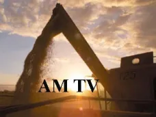 AM TV: Los granos, presionados por la entrada de una gran cosecha norteamericana. ¿Se aprueba hoy el impuestazo?