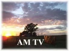 AM TV: Análisis del mercado ganadero con Juan Llauro. Apertura bajista en CBOT