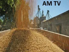 AM TV: La reducción de soja en el mercado local elevó los precios en CBOT- Hoy abre con U$S 2 de ganancia